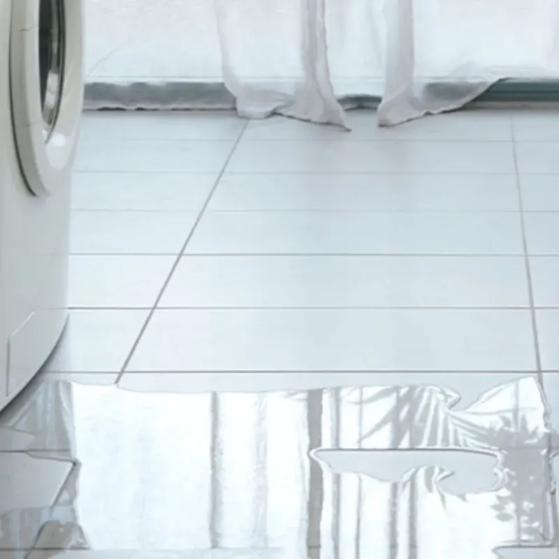 Appliance Leak Cleanup in Morton, TX