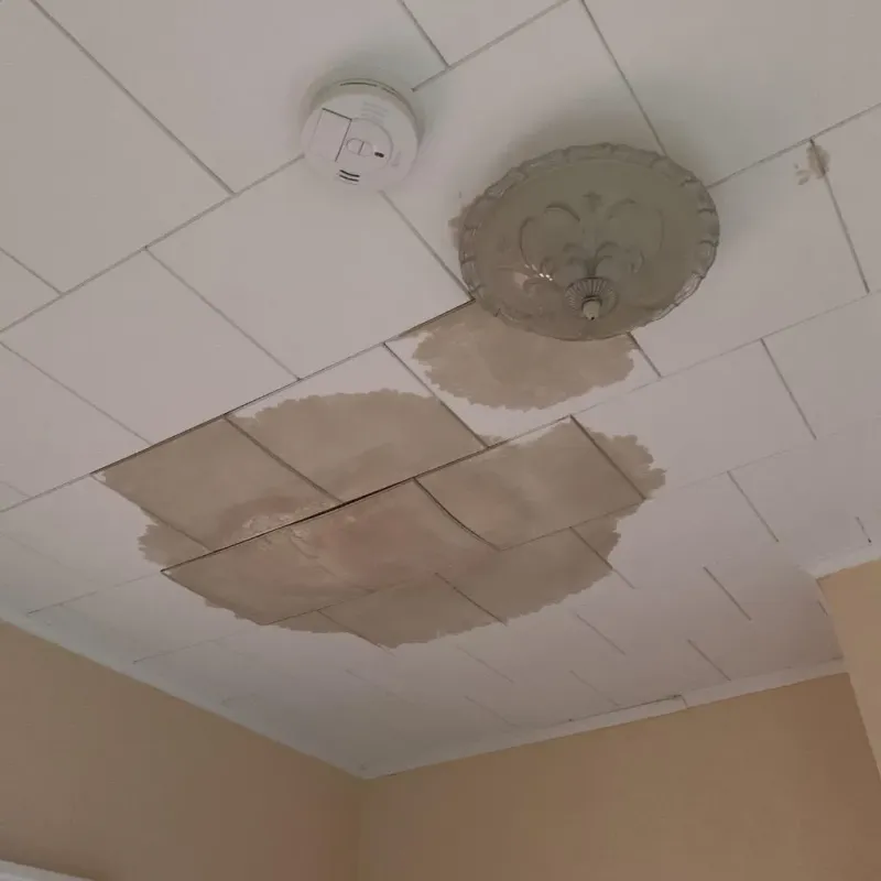 Ceiling Water Damage Repair in Morton, TX