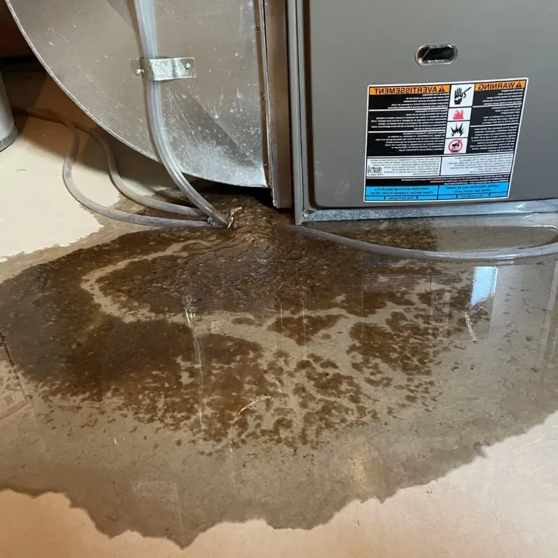 Pipe Burst and Leak Restoration in Morton, TX