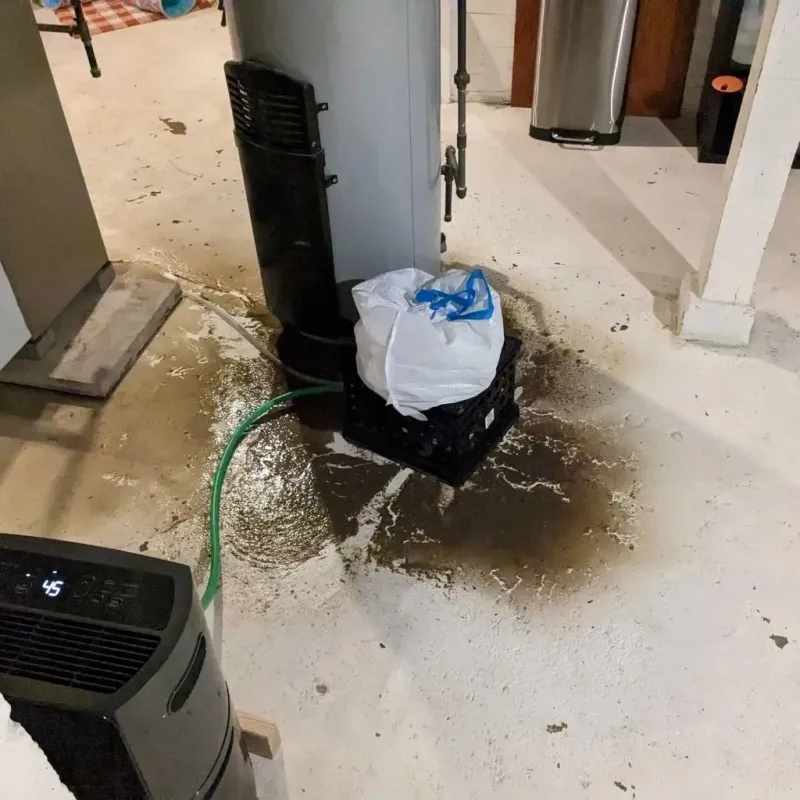 Sewage Backup Cleanup Service in Morton, TX